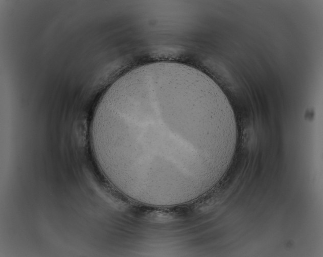 X0000092090498200710101104