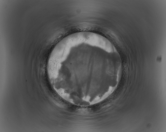 X0000092090499200710101104