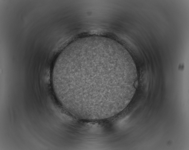 X0000092090502200710101104