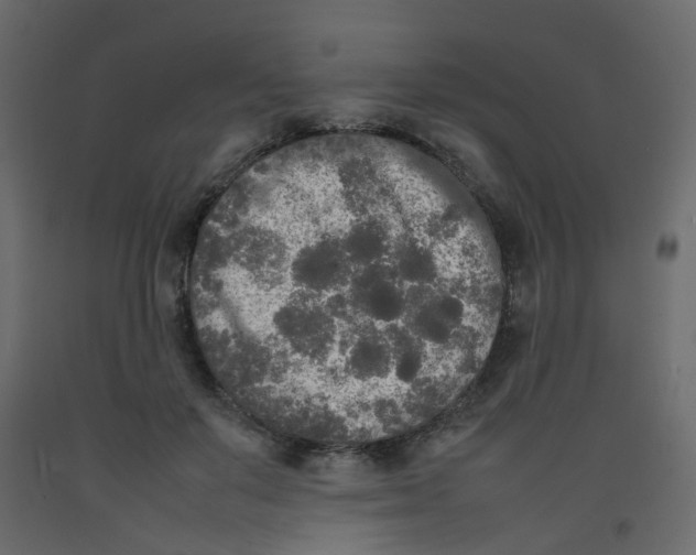 X0000092090503200710101104