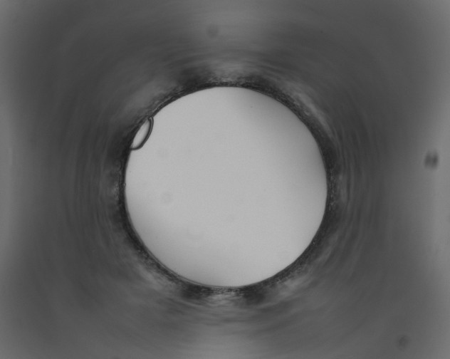 X0000092090505200710101104