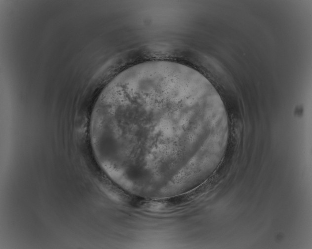 X0000092090507200710101104