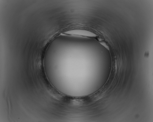 X0000092090508200710101104