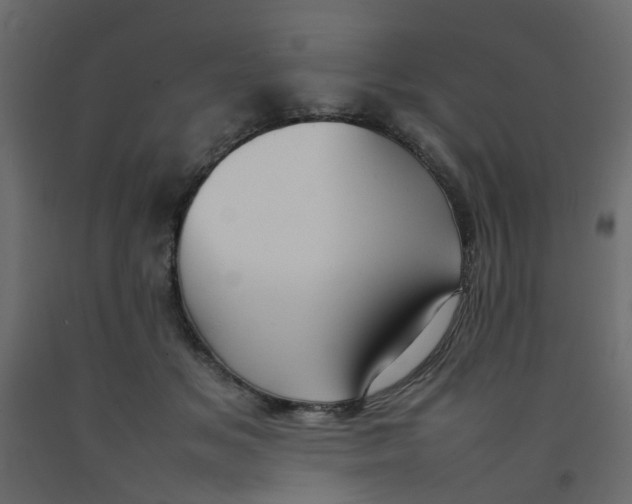 X0000092090509200710101104
