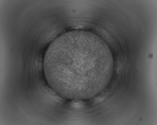 X0000092090510200710101104