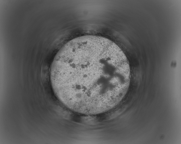 X0000092090511200710101104
