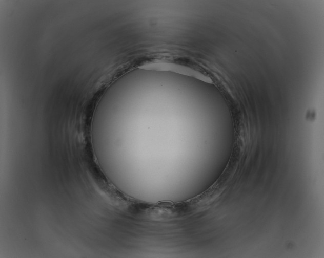 X0000092090512200710101104