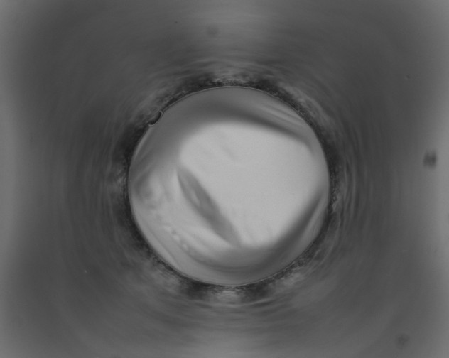 X0000092090513200710101104