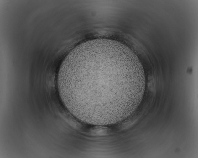 X0000092090514200710101104