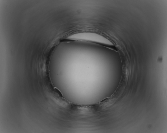 X0000092090516200710101104