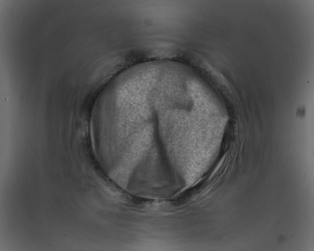 X0000092090517200710101104