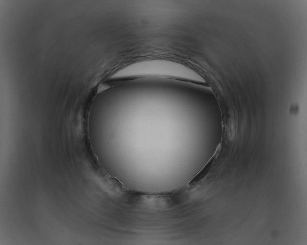 X0000092090520200710101104