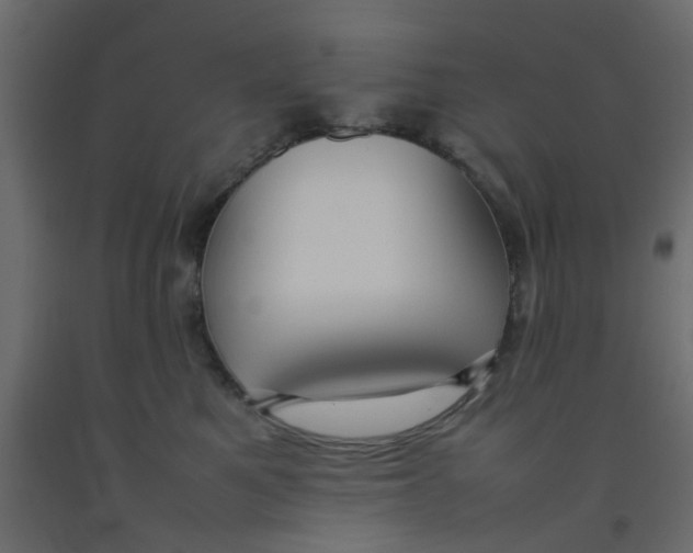X0000092090521200710101104