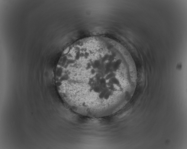 X0000092090523200710101103