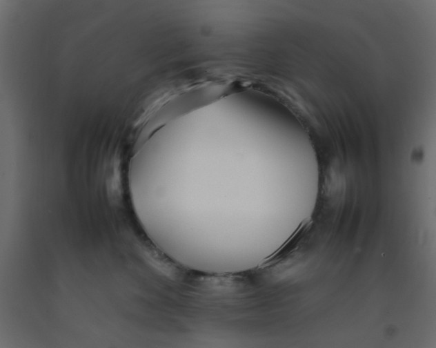 X0000092090524200710101103