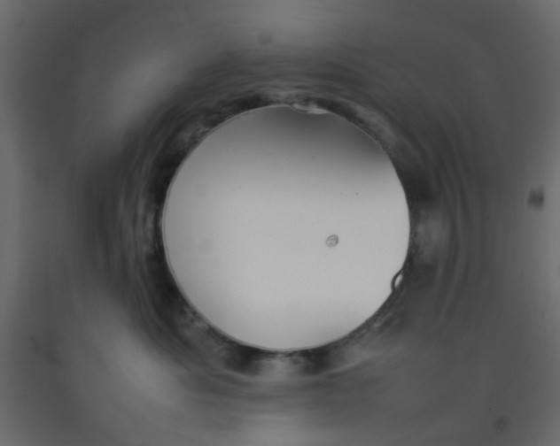 X0000092090525200710101103