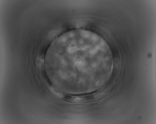 X0000092090527200710101103