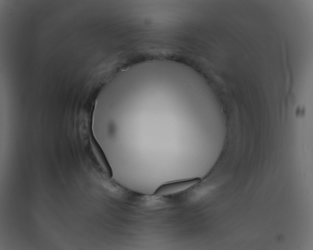 X0000092090528200710101103