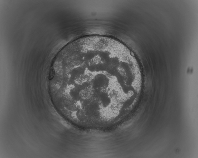 X0000092090529200710101103