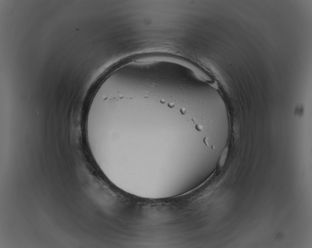 X0000092090532200710101103