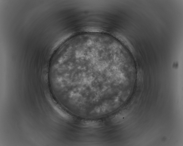 X0000092090533200710101103