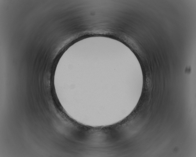 X0000092090534200710101103