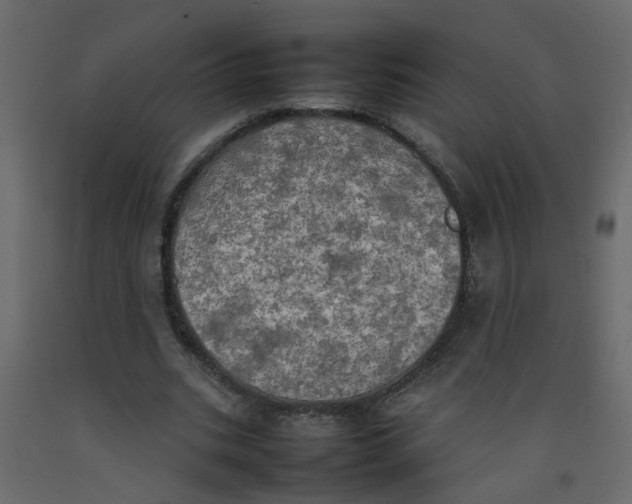 X0000092090535200710101103