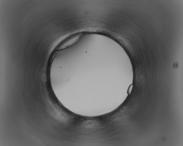 X0000092090536200710101103