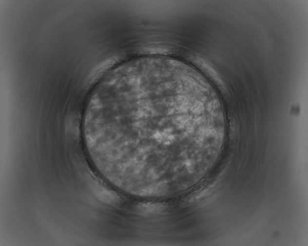 X0000092090537200710101103