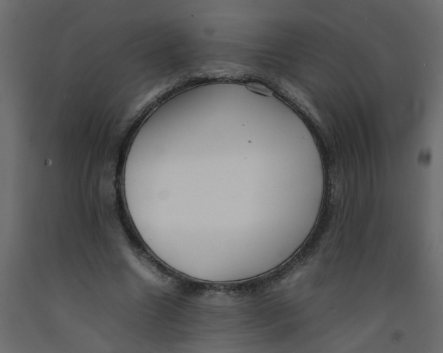 X0000092090538200710101103