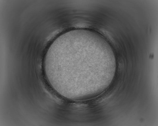 X0000092090539200710101103
