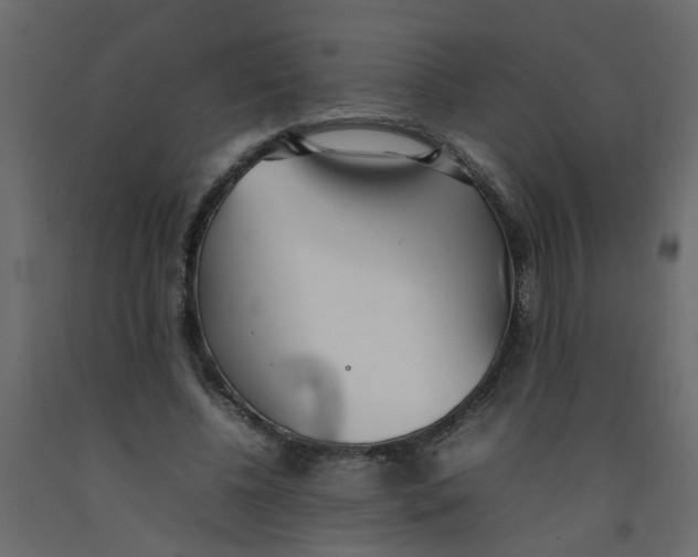 X0000092090540200710101103