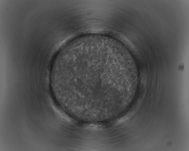 X0000092090542200710101103