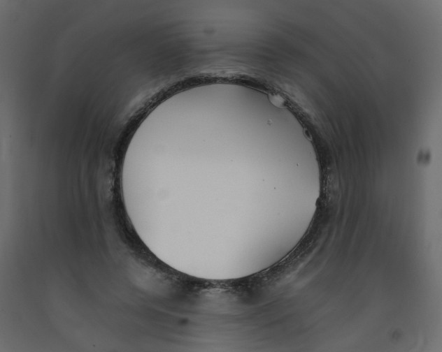 X0000092090544200710101103