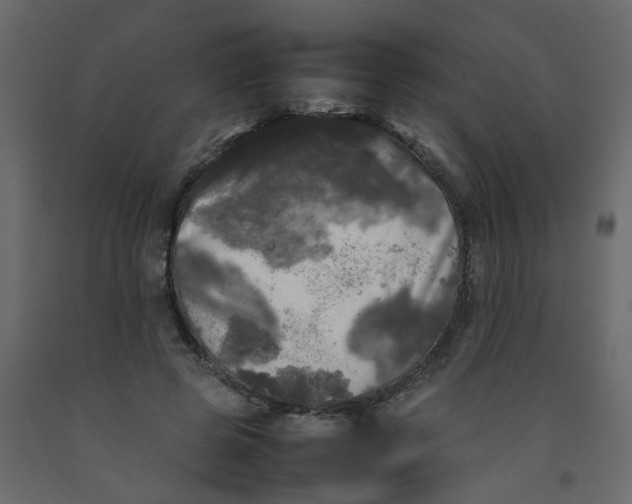 X0000092090545200710101103