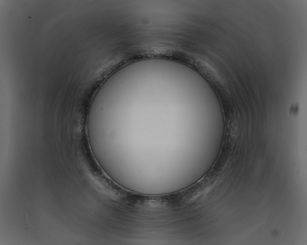 X0000092090546200710101103