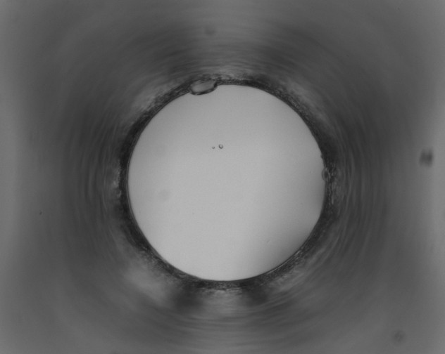 X0000092090548200710101103