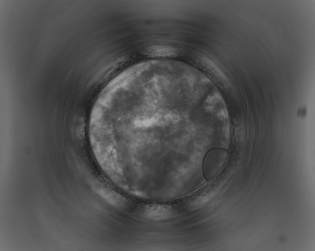 X0000092090549200710101103