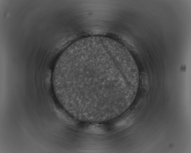 X0000092090550200710101103