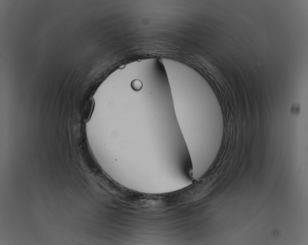 X0000092090552200710101103