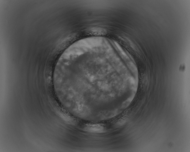 X0000092090553200710101103