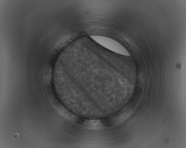 X0000092090554200710101103