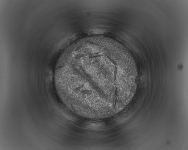 X0000092090555200710101103