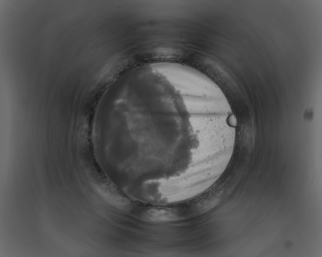 X0000092090557200710101103