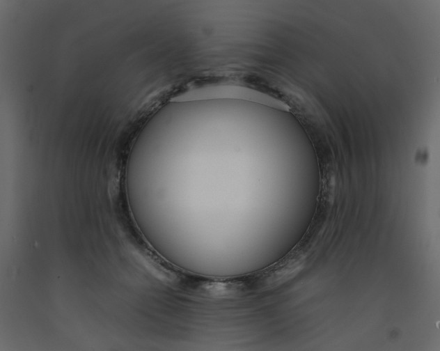 X0000092090558200710101103