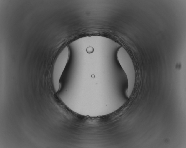 X0000092090560200710101103