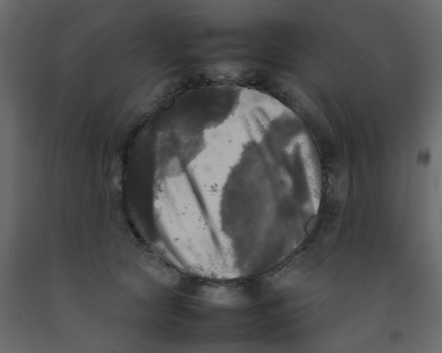 X0000092090561200710101103