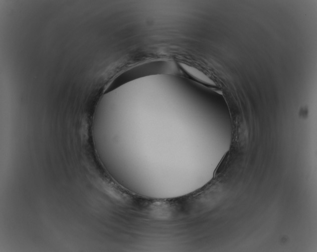 X0000092090562200710101103