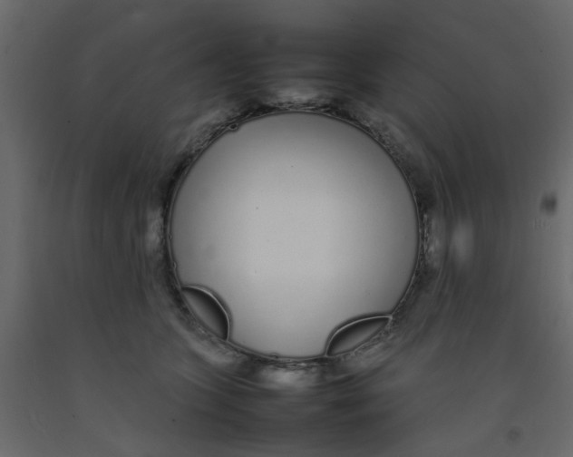 X0000092090563200710101103