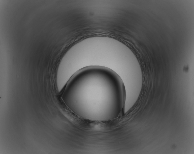 X0000092090564200710101103
